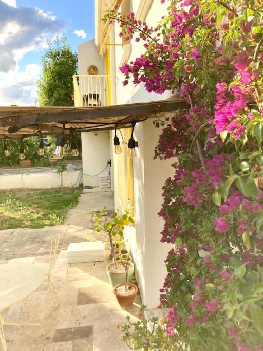 La Suite De La Maison Jaune Montpellier Ngoại thất bức ảnh